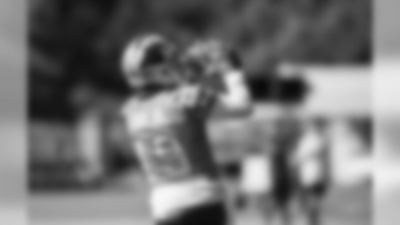 WR Ted Ginn, Jr.