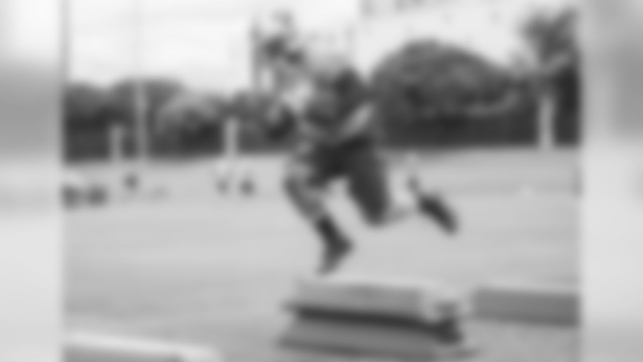RB Jonathan Stewart