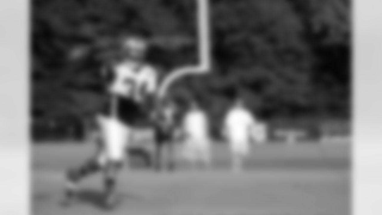 RB DeAngelo Williams