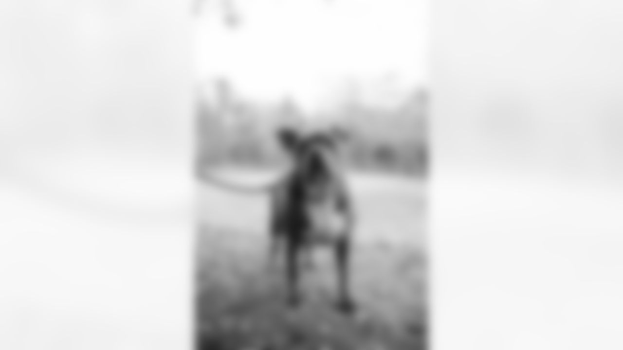 1CW18789