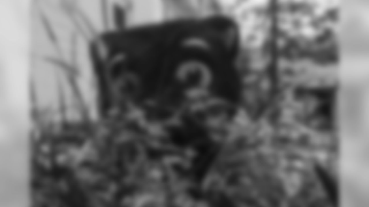 Sir Purr plays hide-and-seek in a flower jungle.