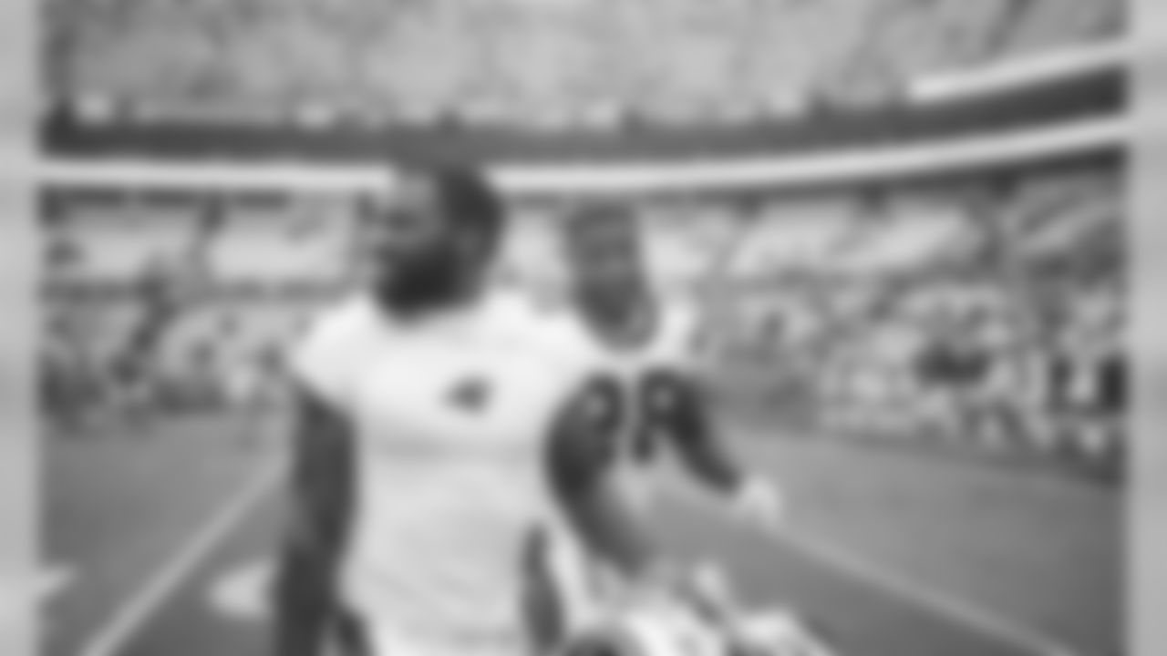 RBs Fozzy Whittaker and Jonathan Stewart