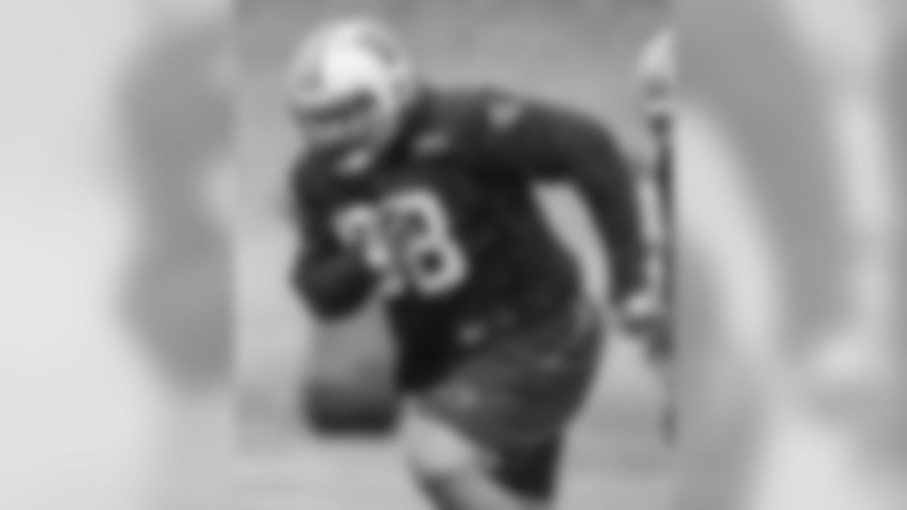DT Star Lotulelei