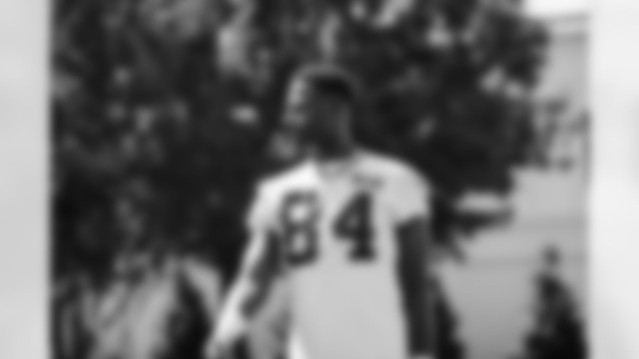 TE - 84 - Stephen Sullivan