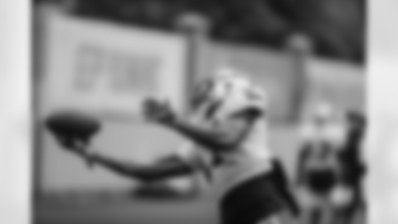 WR - 17 - Rashard Higgins