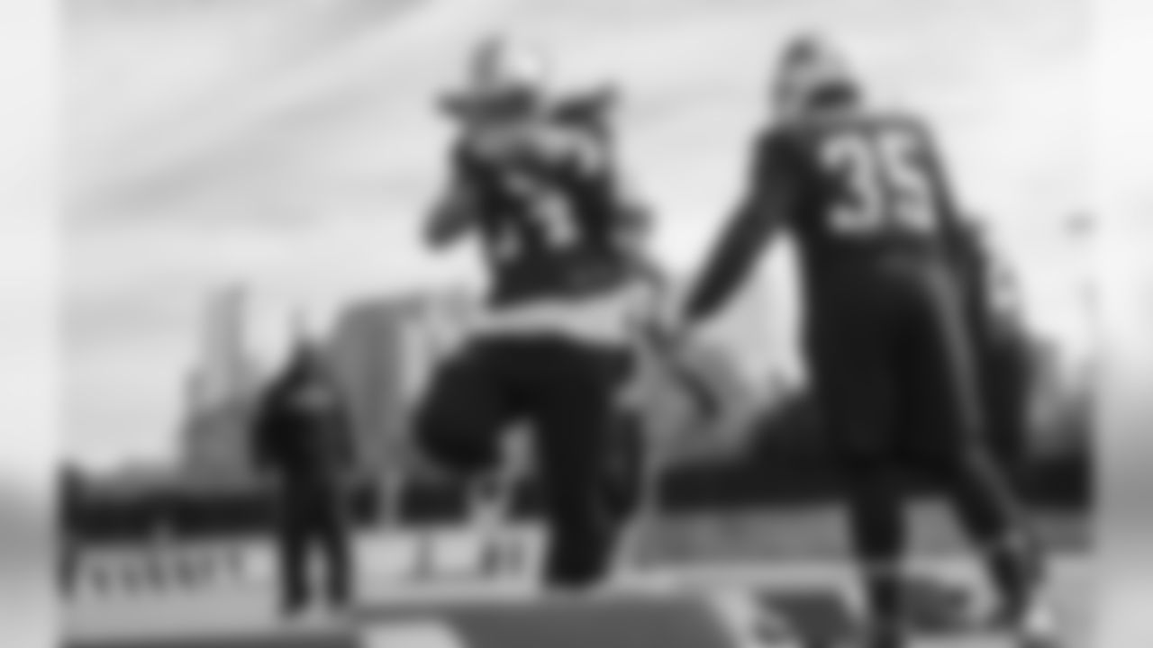RB DeAngelo Williams