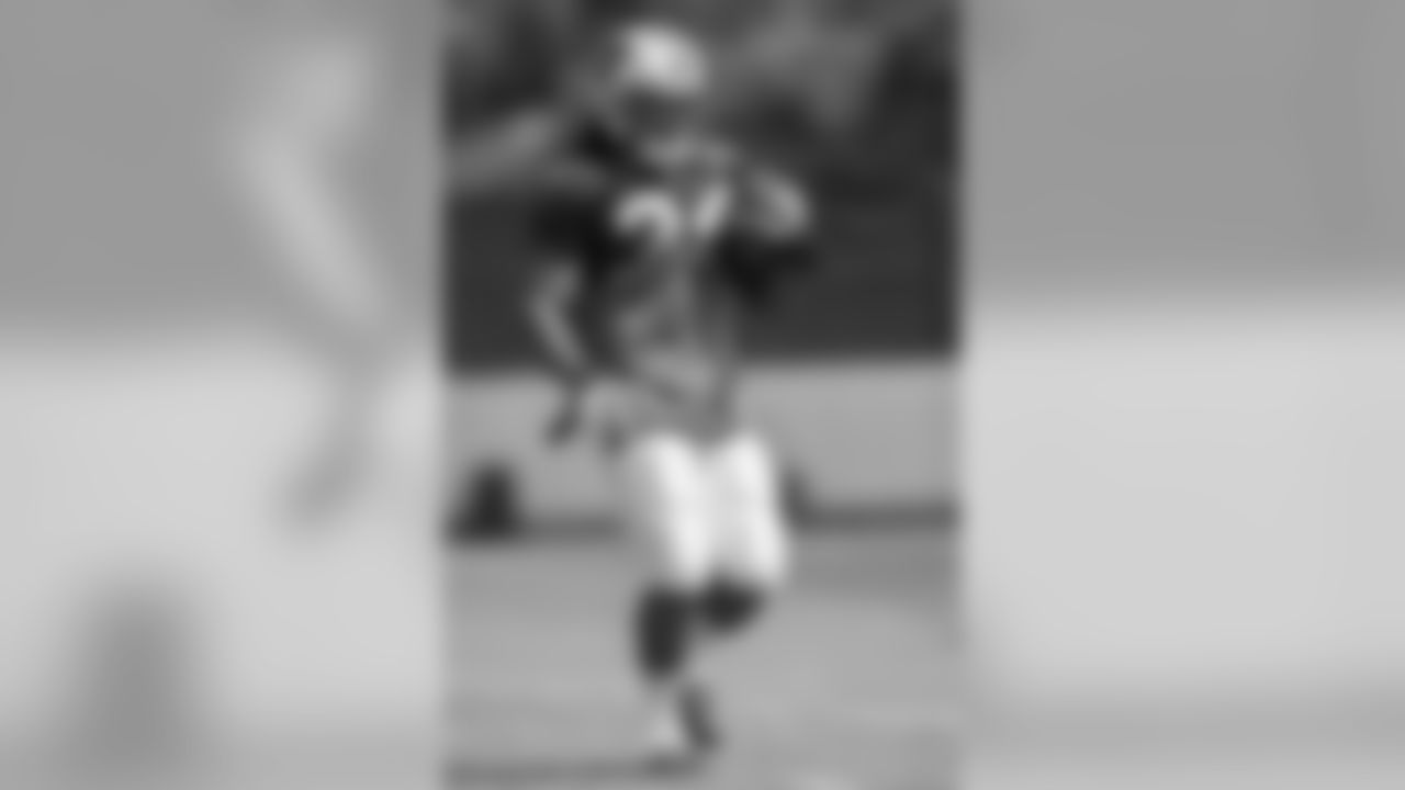 RB DeAngelo Williams
