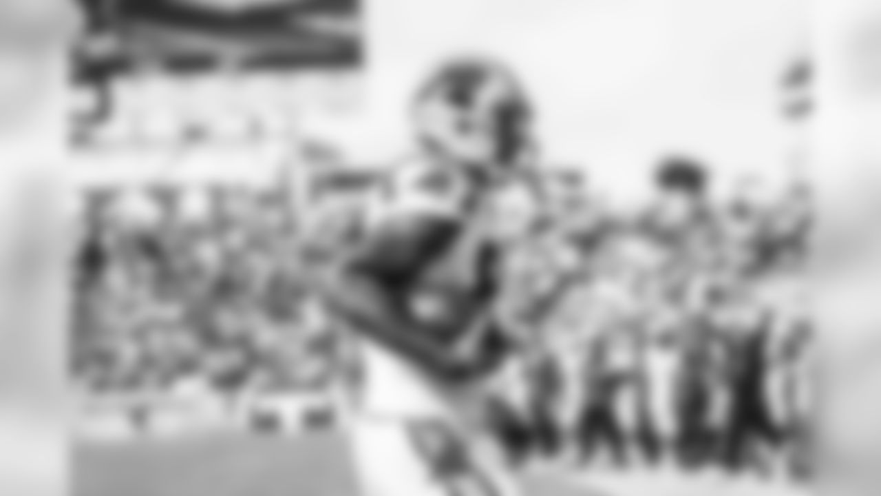 Carolina Panthers play against the Tennessee Titans on Sunday, November 15, 2015.