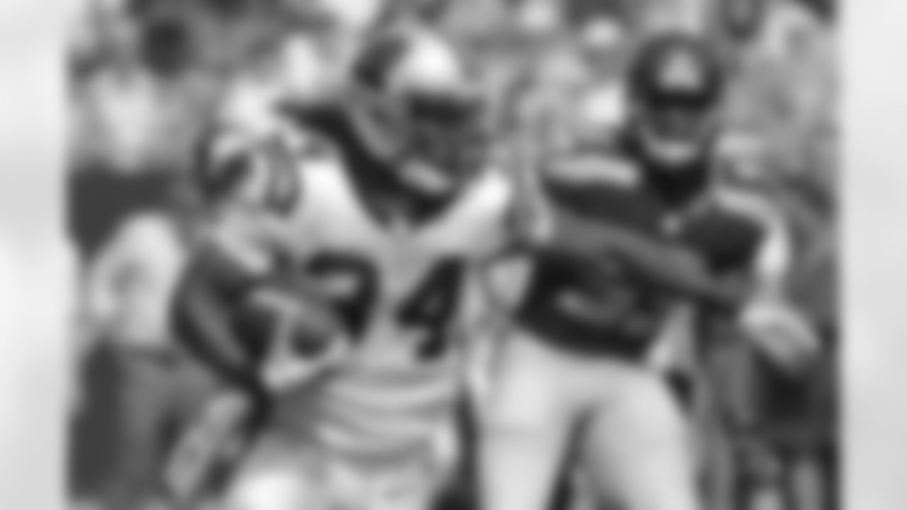 RB DeAngelo Williams