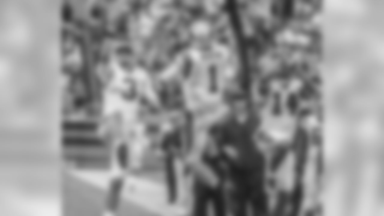 QBs Derek Anderson, Cam Newton and Joe Webb