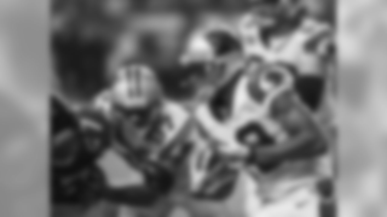Carolina Panthers play against the Atlanta Falcons on Sunday, December 29, 2013.