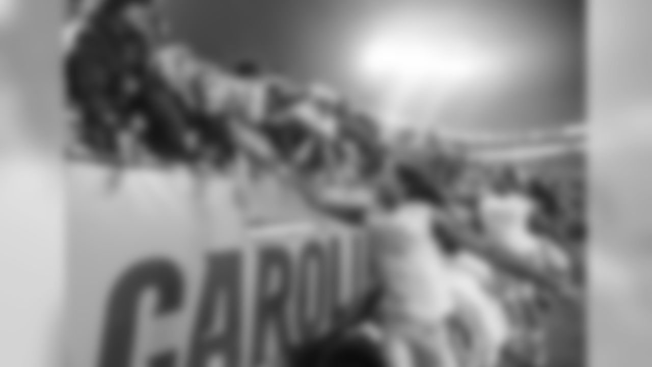 Carolina Panthers play against the Arizona Cardinals during the Wild Card playoff round at Bank of America Stadium on Saturday, January 3, 2015, in Charlotte, NC.