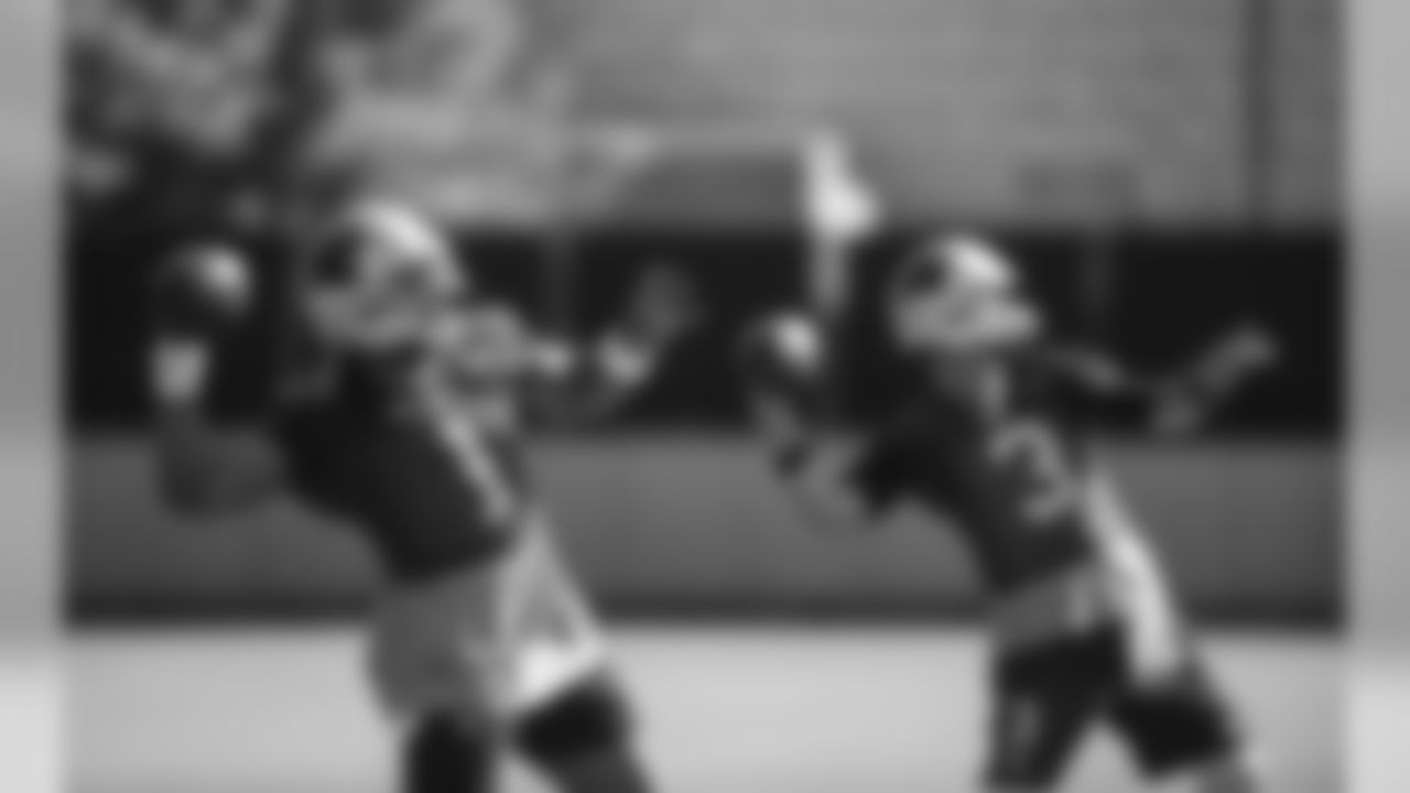 QBs Cam Newton and Derek Anderson
