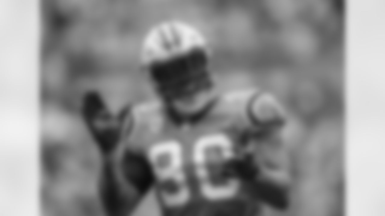 Carolina Panther Julius Peppers (90) against the Atlanta Falcons at Bank of American Stadium on Sunday, November 5, 2017 in Charlotte, NC.