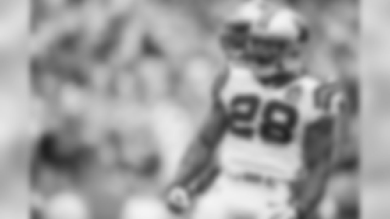 RB Jonathan Stewart