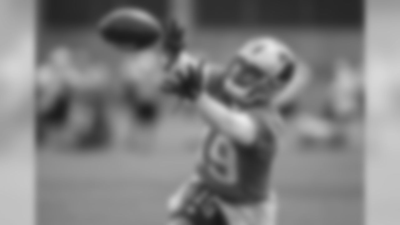 WR Ted Ginn, Jr.