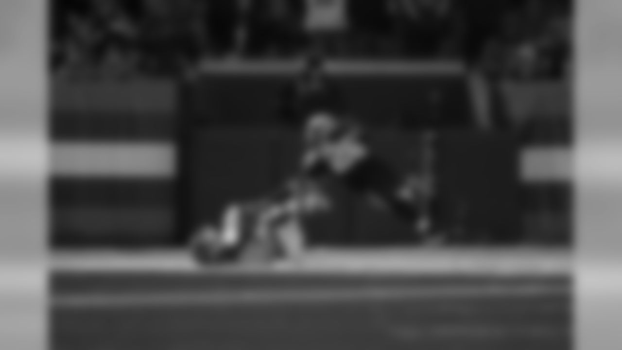CARatCLE_2990