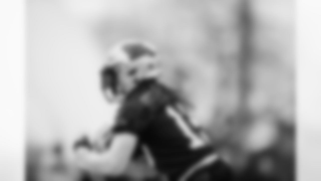 WR - 15 - Laviska Shenault Jr.