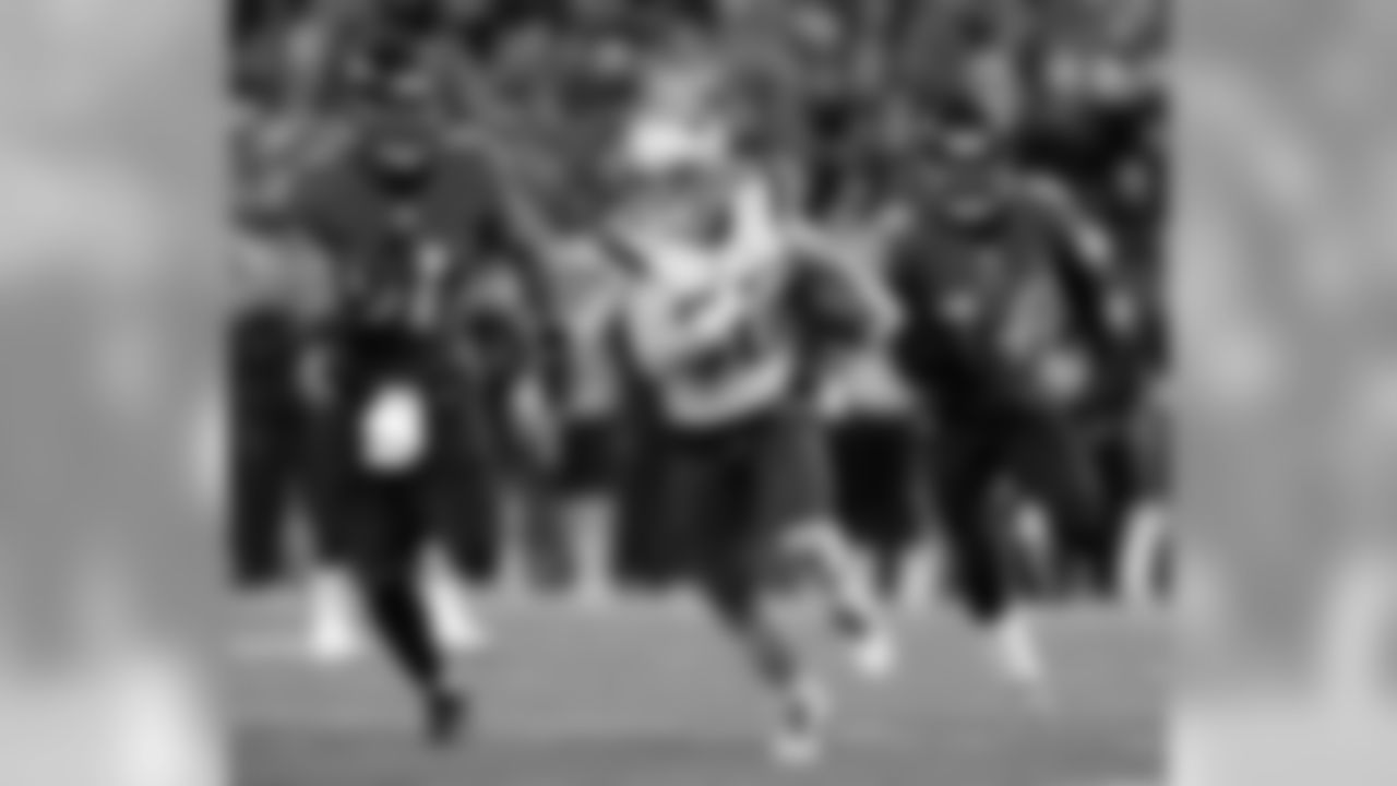 Patriots WR Danny Amendola