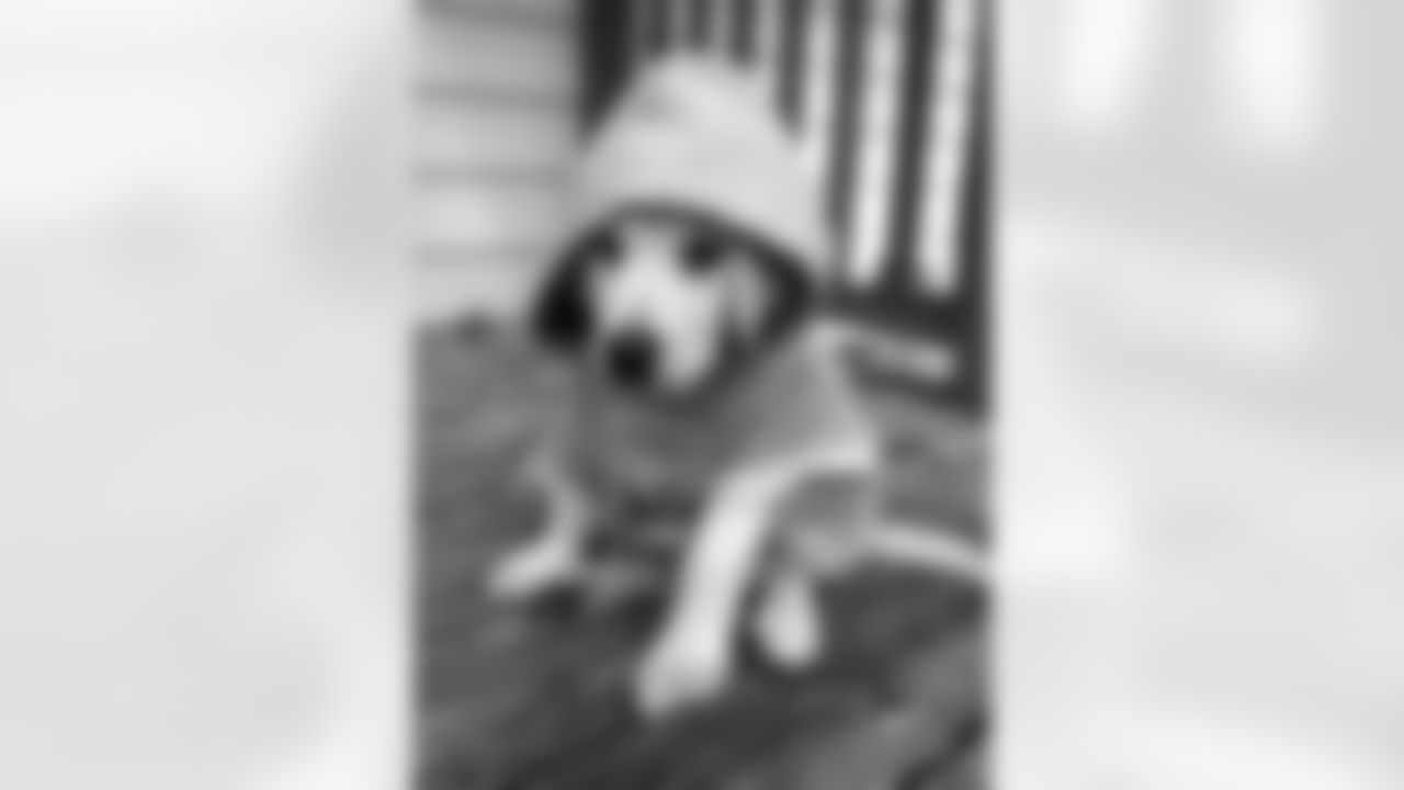 tempvWMxt61.jpg