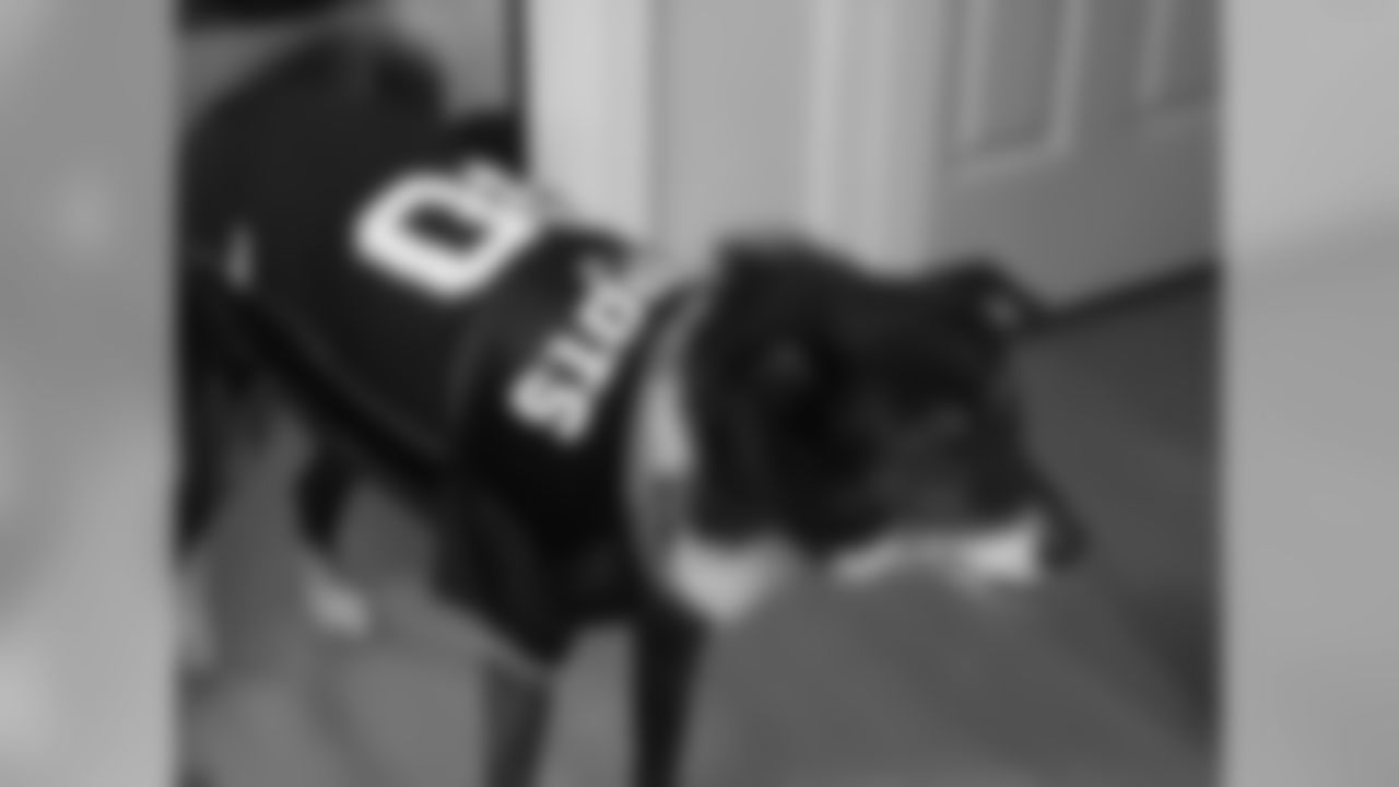 53270_8_2610232448.jpg