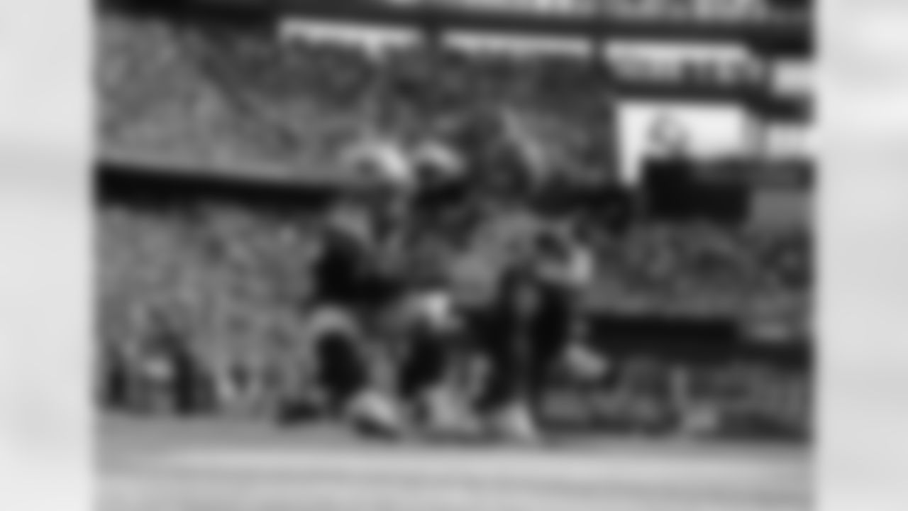 5-bengals-ds-watermarked.jpg