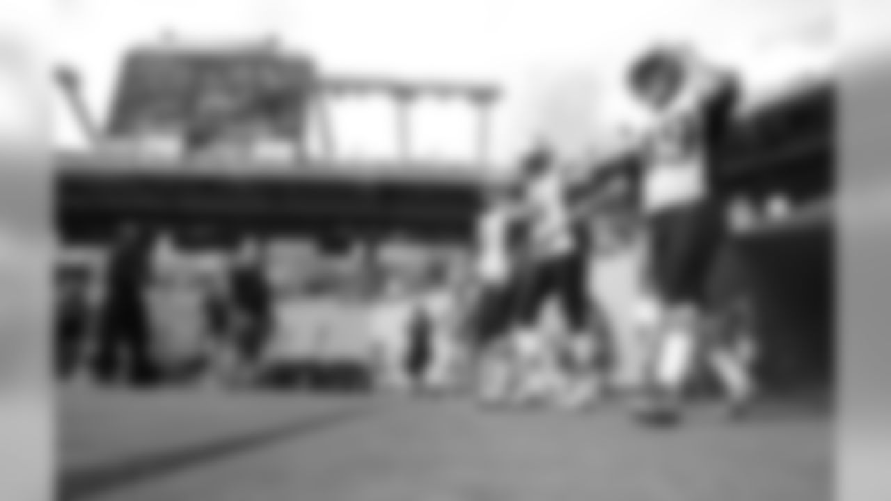 20160104_dsp_dolphins_1040.jpg