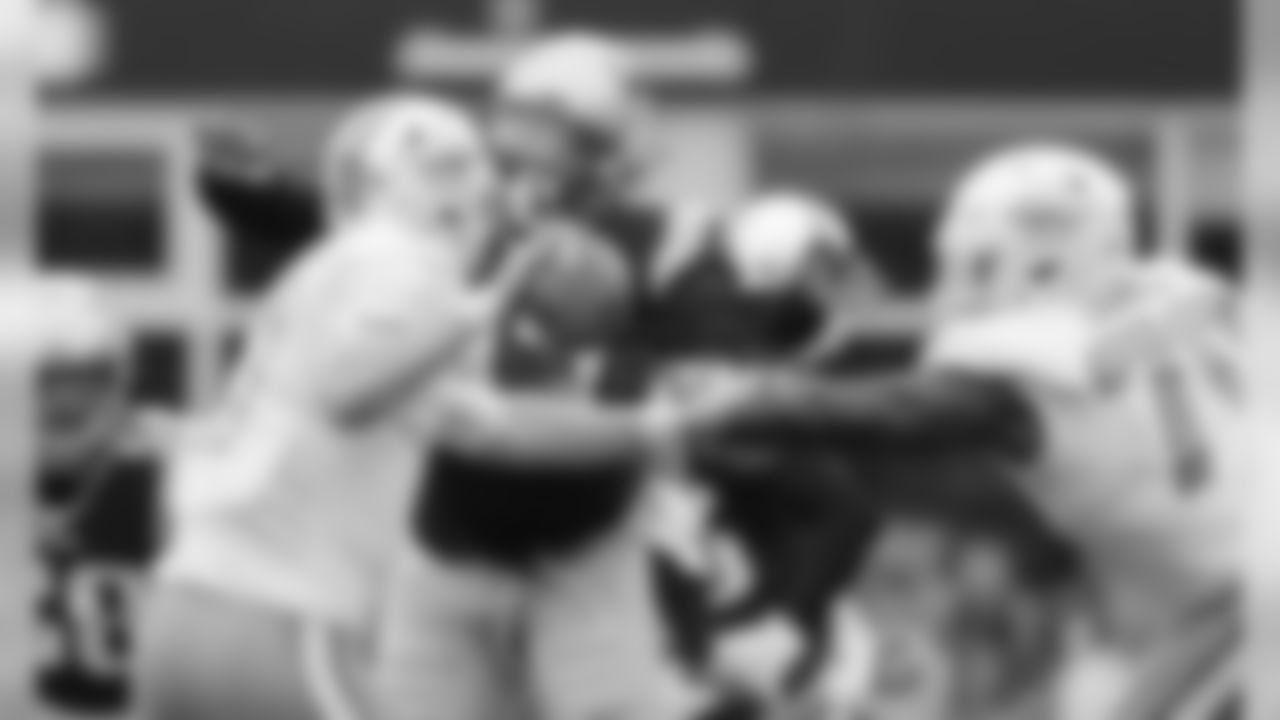 20160918_silverman_dolphins_best0305-watermarked.jpg