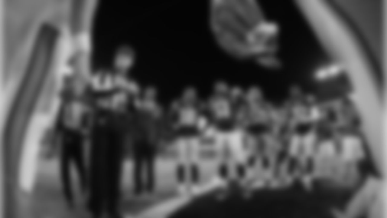 20151029_dsp_dolphins_0511_0.jpg