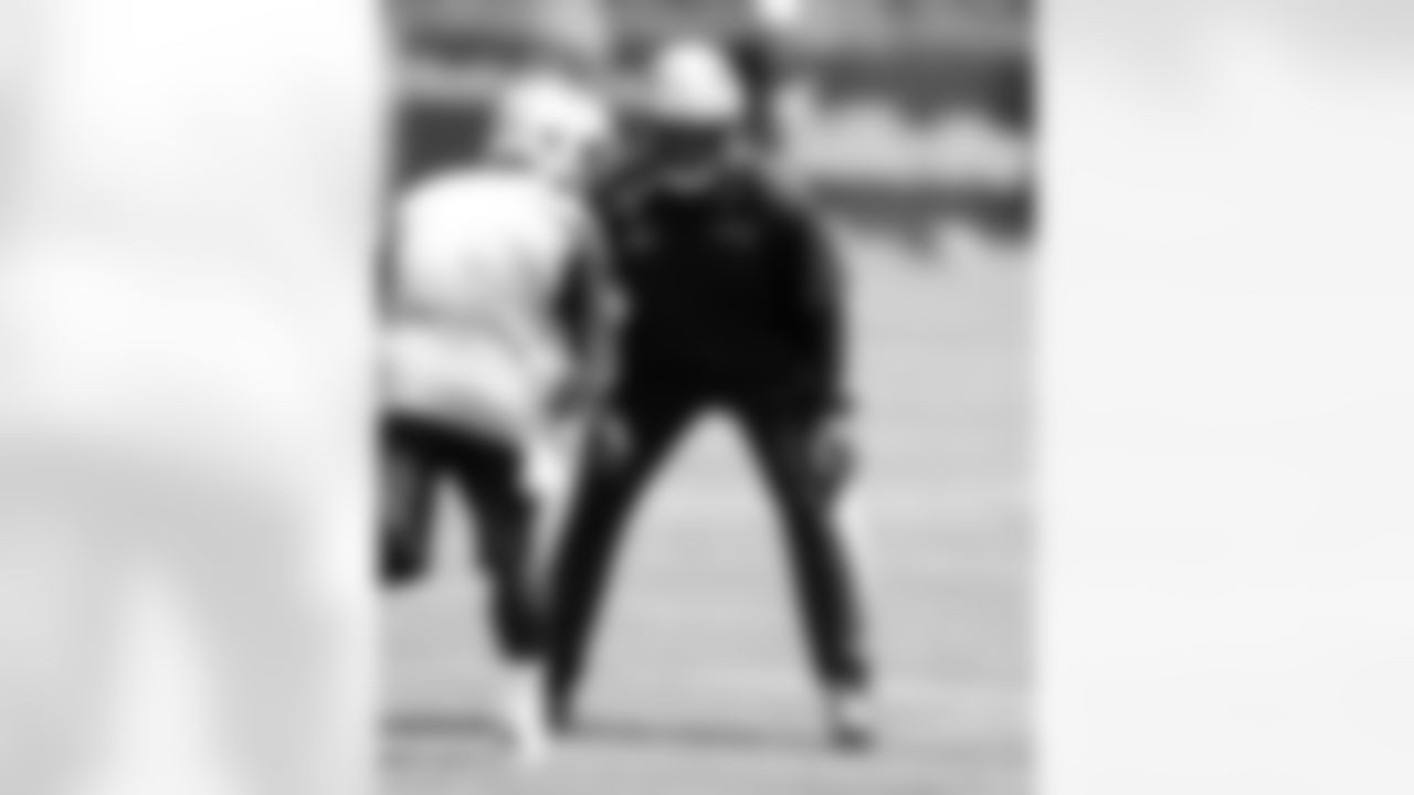 Darrelle Revis