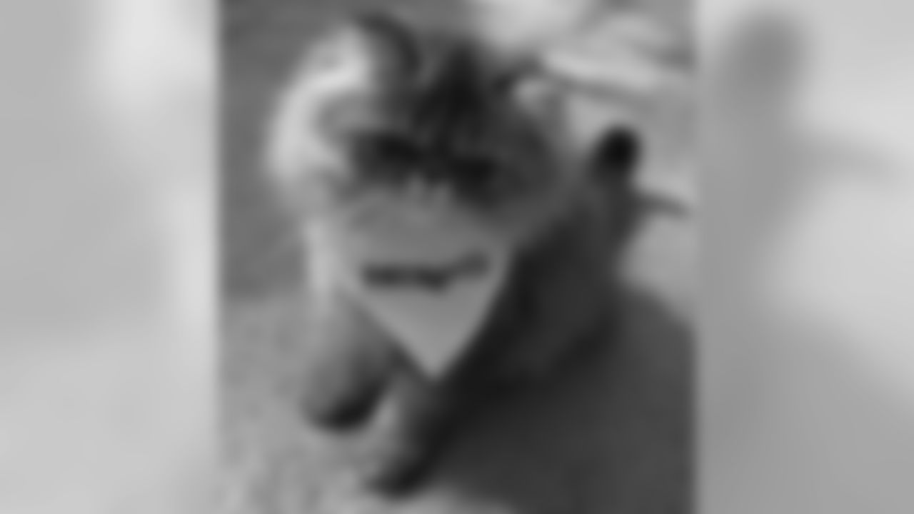 53270_8_290060591.jpg