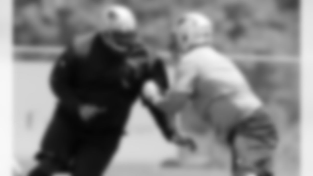 Vince Wilfork
