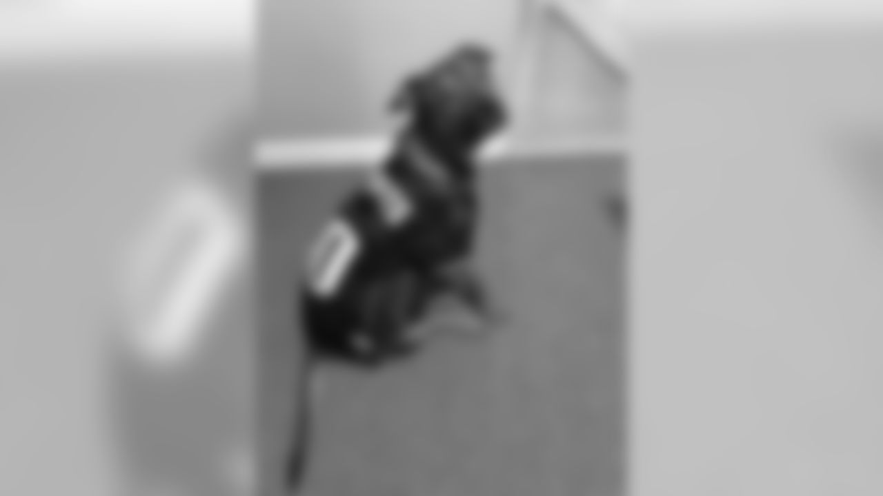 53270_8_3668774632.jpg