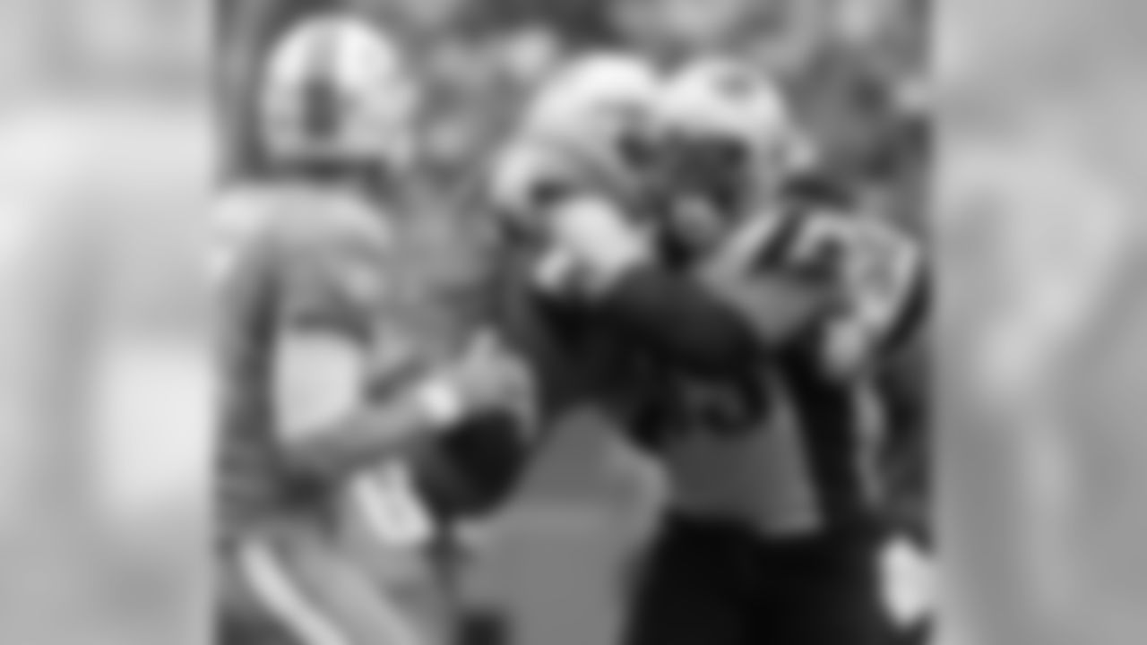 20160104_dsp_dolphins_1028.jpg