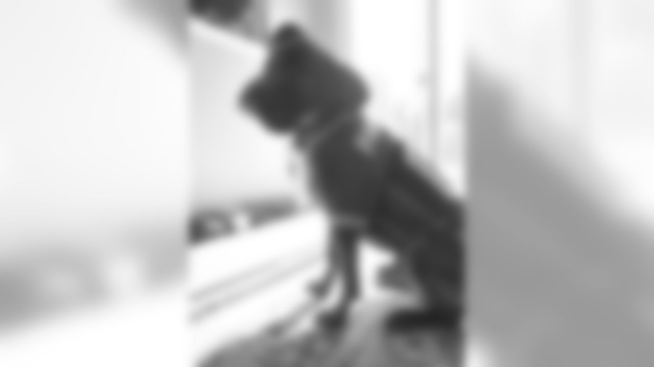 53270_8_120005782