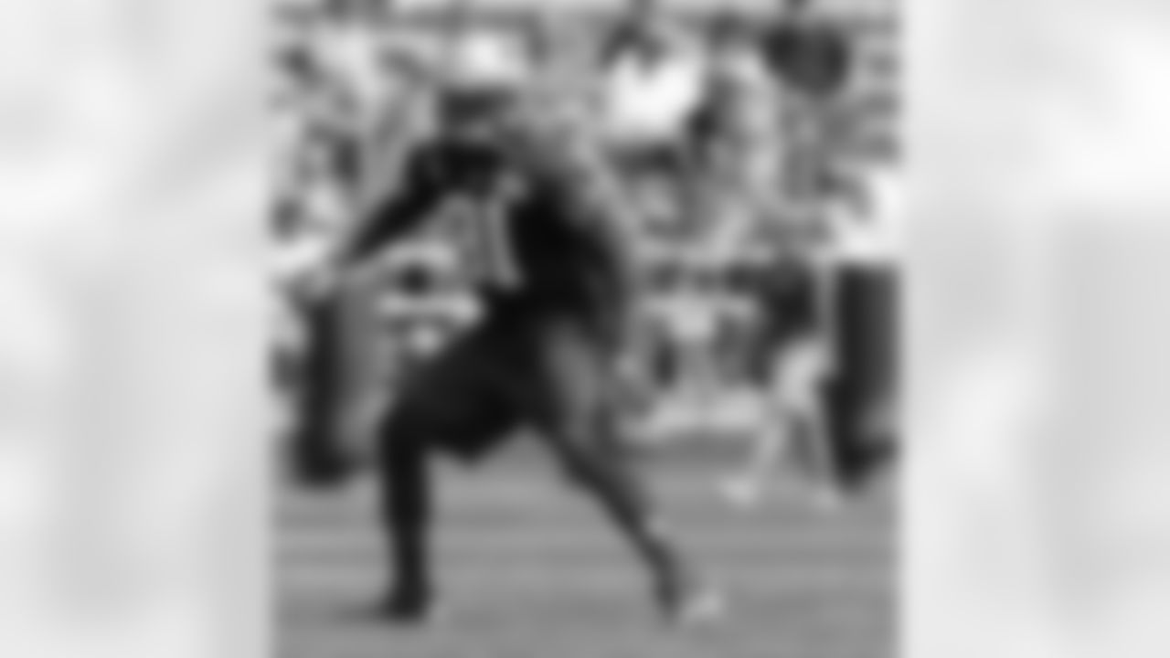 Jamie Collins