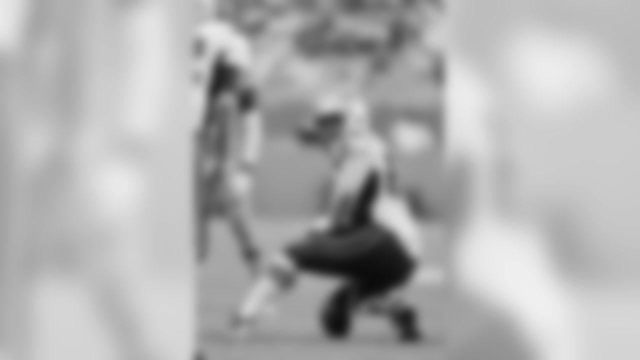 20160104_dsp_dolphins_1035.jpg