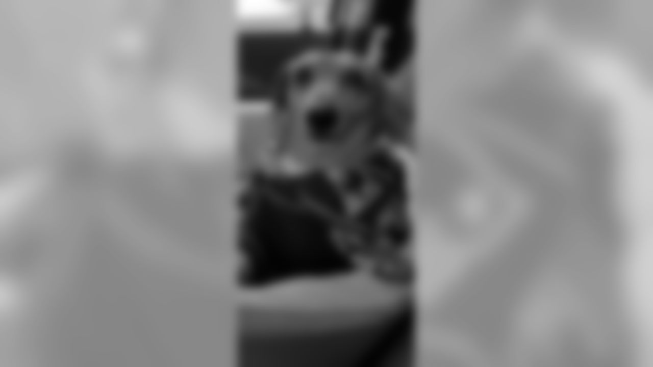 53270_8_2966382832