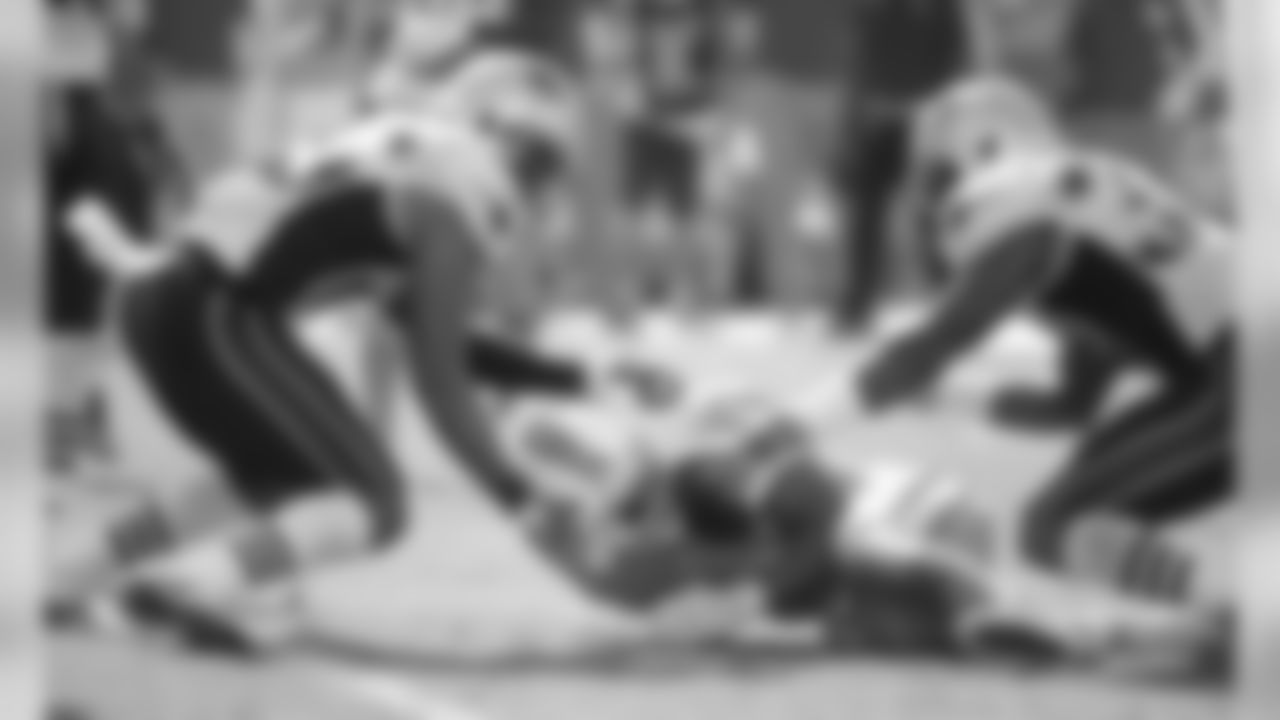 20160104_dsp_dolphins_0997.jpg
