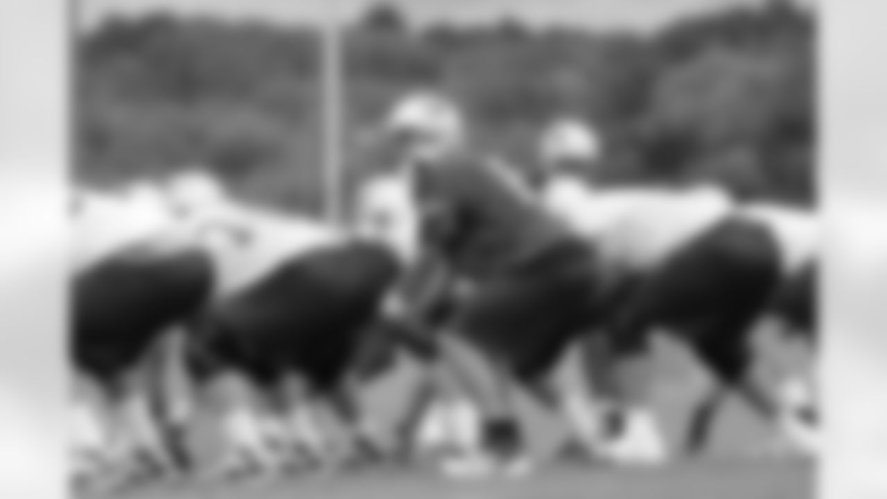 Brian Hoyer at the helm during Training Camp.