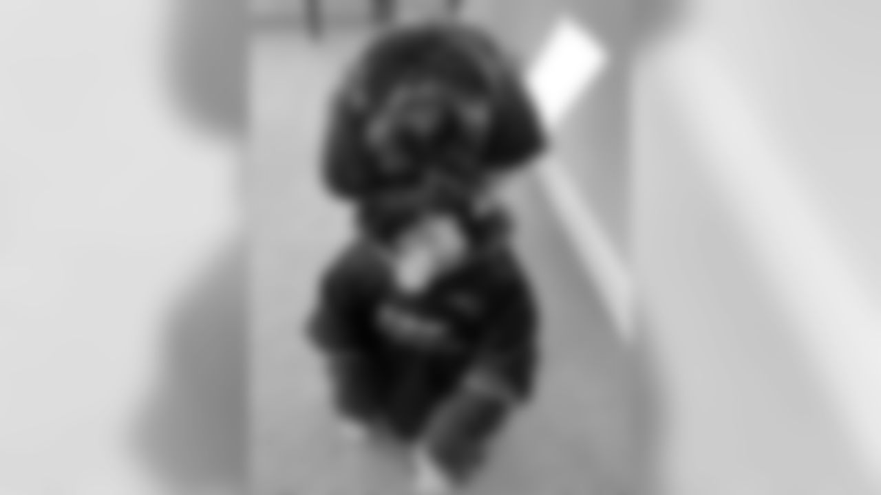 53270_8_3670215581