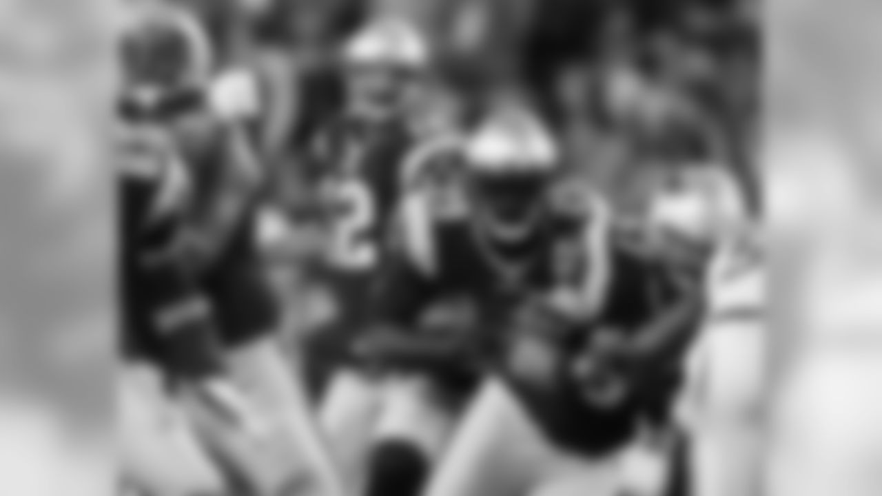 20151029_dsp_dolphins_0502_0.jpg