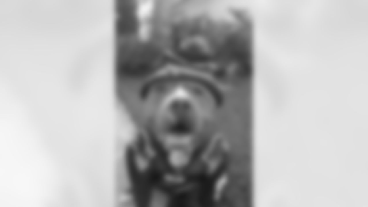 temp1558908_10201973176503326_650799228_n.jpg