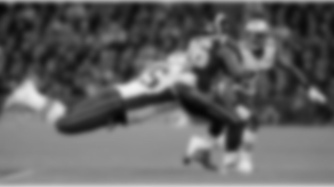 Vince Wilfork vs. St. Louis Rams