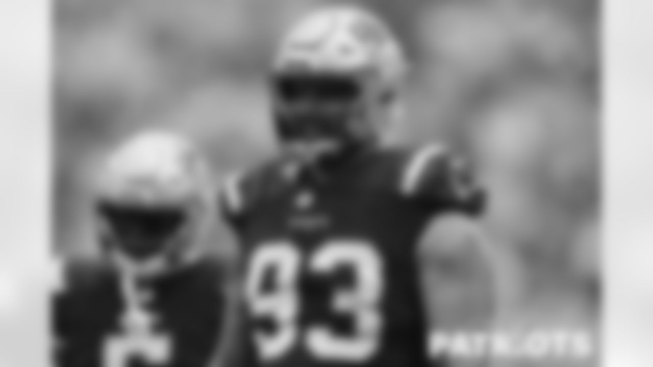 Patriots defensive lineman Lawrence Guy Sr. (93).