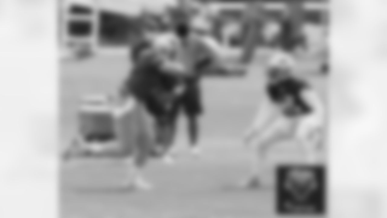 Cam Newton and Terrence Brooks