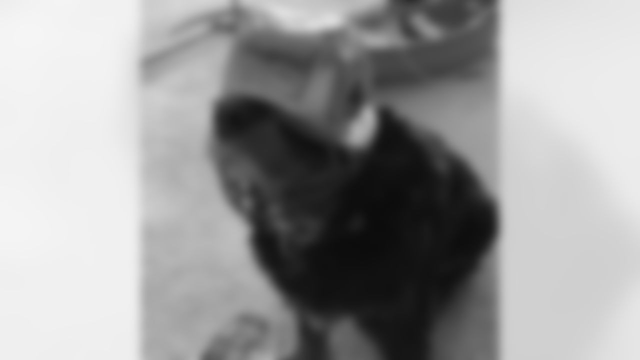 53270_8_2659102481