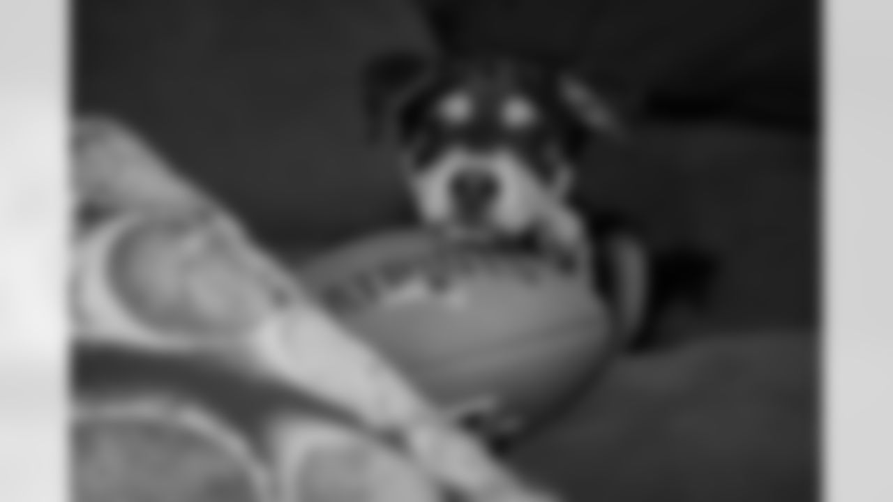 20160930_pet_18.jpg