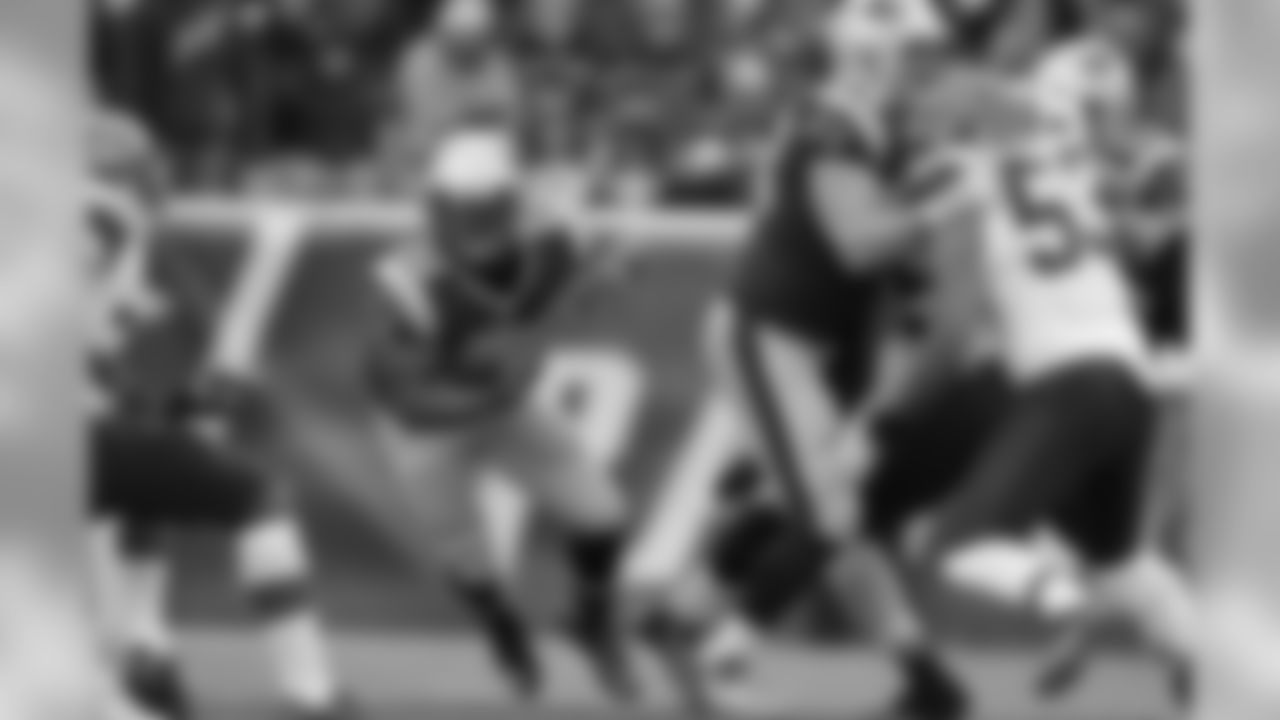 Stevan Ridley vs. Cleveland Browns