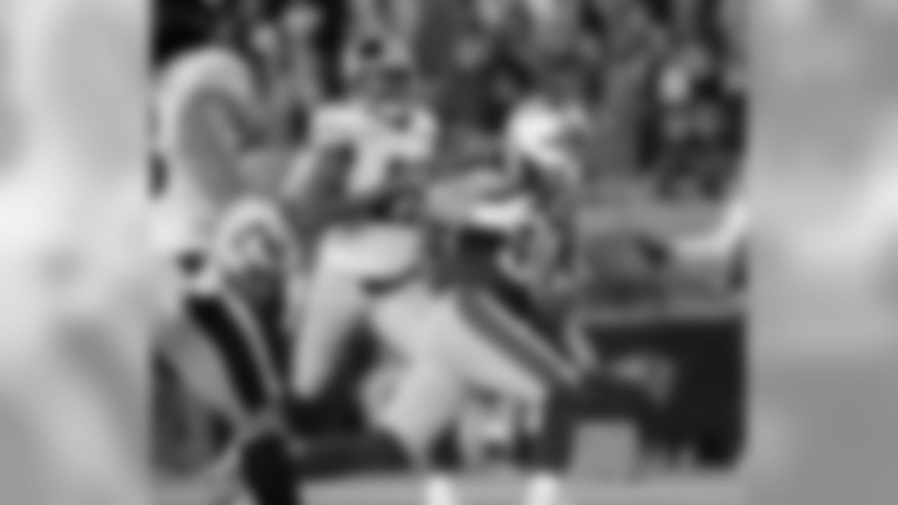 Danny Amendola vs. Pittsburgh Steelers
